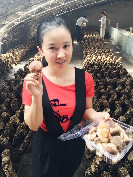 Ԫ ½ŵʮʦһ0ֳ¡С