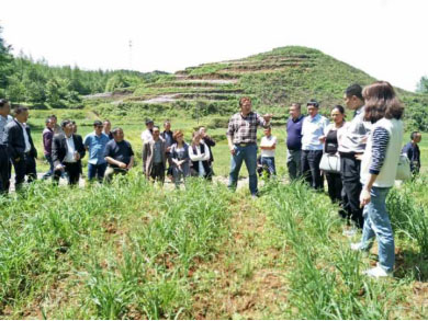 ϱߡ˾+󻧡ģʽ ƻ˲ҵ