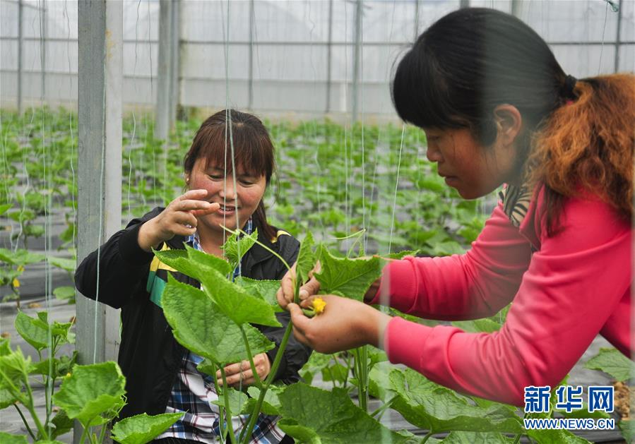 515գʡп˫ϴ岼̨ҵ԰׹԰ڹƹϡ