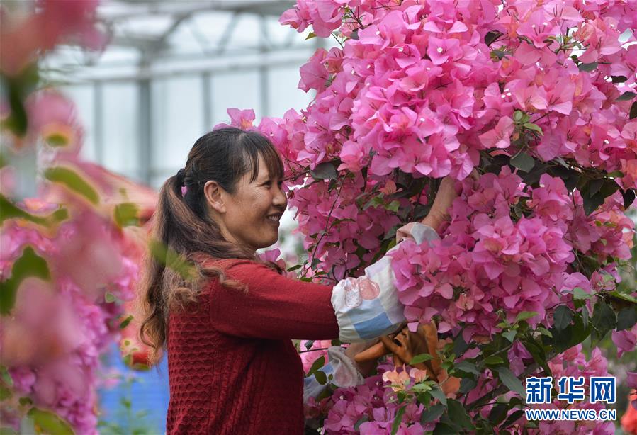 515գʡп˫ϴ岼̨ҵ԰׹԰ڻ÷