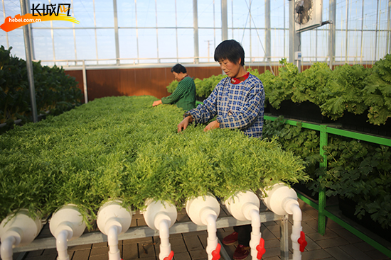 ɫ ӱʩƽִũҵҵ԰չ