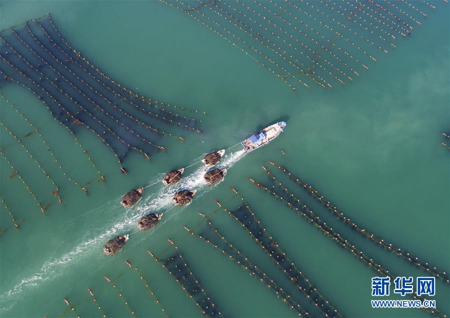 516գɽٳһֳһϴغʻͷ