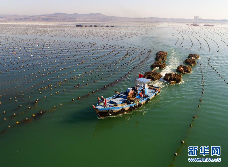 516գɽٳһֳһϴغʻͷ