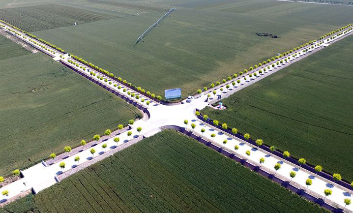 517գʡн²߱׼ʾ԰Сɫ续