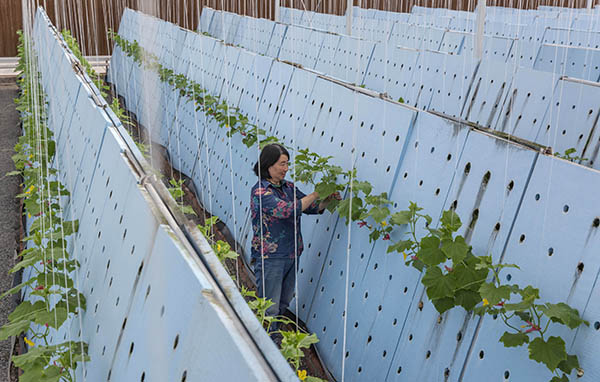 515գũڽʡضͷ̬԰Ϊƹ֦