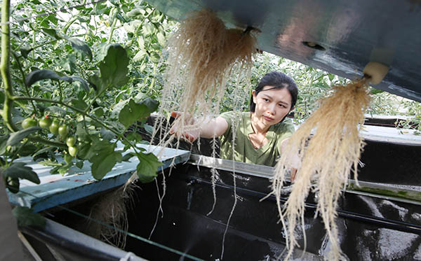 515գԱڽʡضͷ̬԰ڼԶϵ