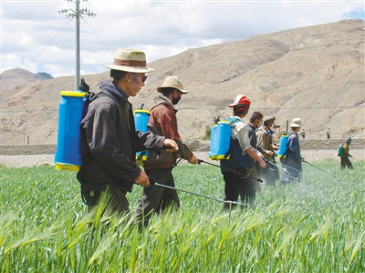 ṹ ץ ǿ񡪡տж벢ٴũҵȶչ