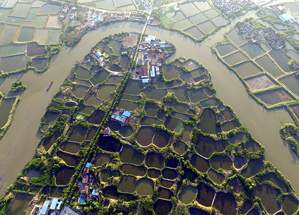 㽭ʡݶ۴һƬɣһ˺֧Χֳ뵺״