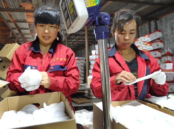 �ӱ���ͷ����Ѽ��֮�硱�衰һ��һ·����չ�����г�