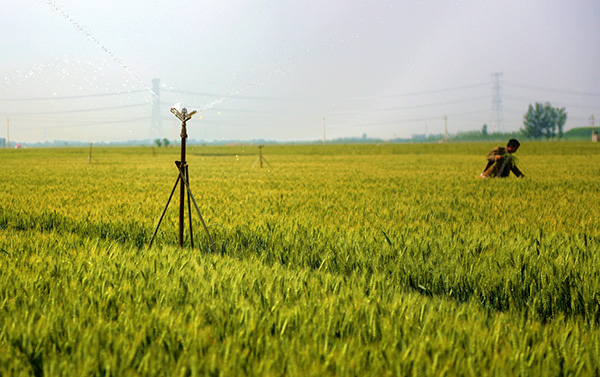 ӱˮƹЧˮ šũҵˮͷ