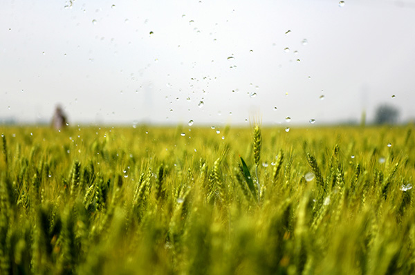 520գˮмܴԴͥũ豸ҵ