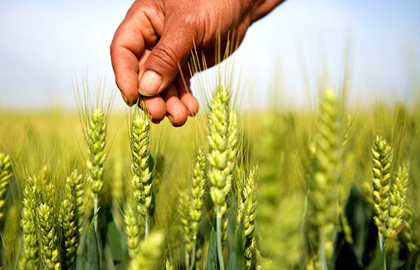 521գˮмܴڣһũ鿴С