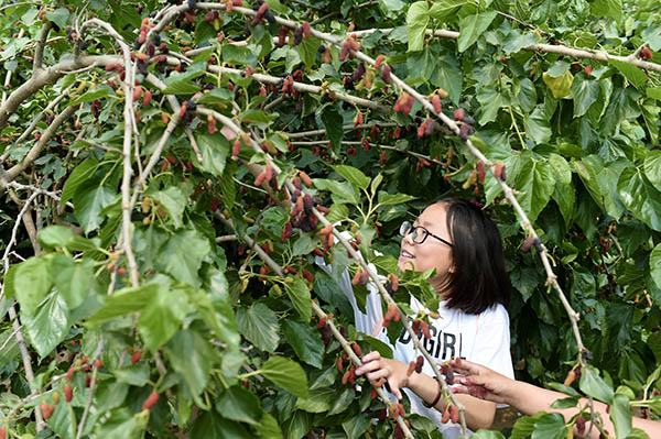 ɽĽ򣺻ƺӹʵСɣ¸