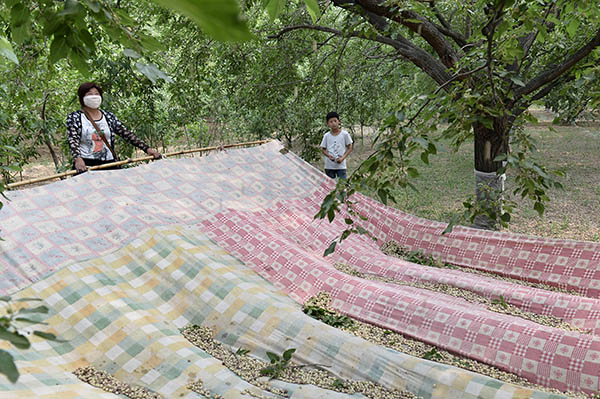 521գɽĽػƺӹʵɭֹ԰ɣ԰ũΪοʹɣ