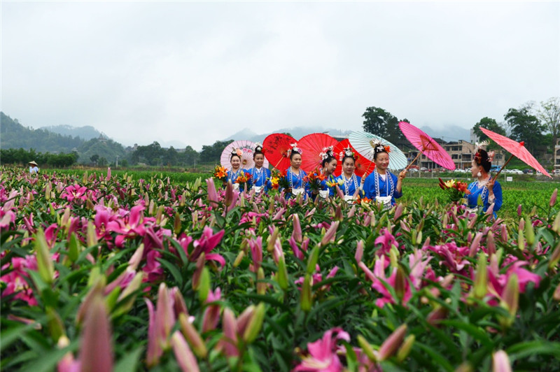 521գڹʡ̨ʹİٺϻǴιο