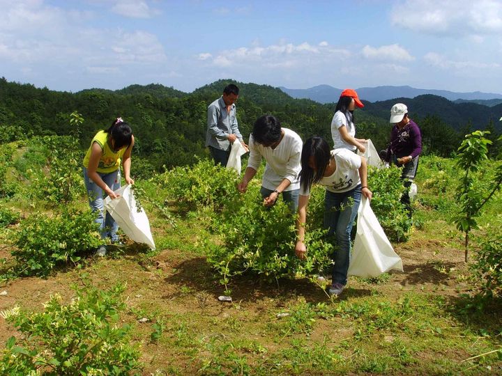 ɽ󡱹ݴ 㽭ĳвҩҵũ