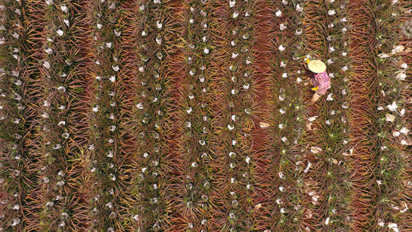 տũѺũũְڲղܣ524㣩