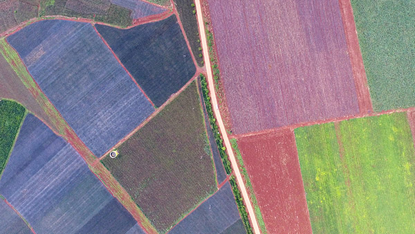 տũѺŸũֲܡҶȶũ524㣩