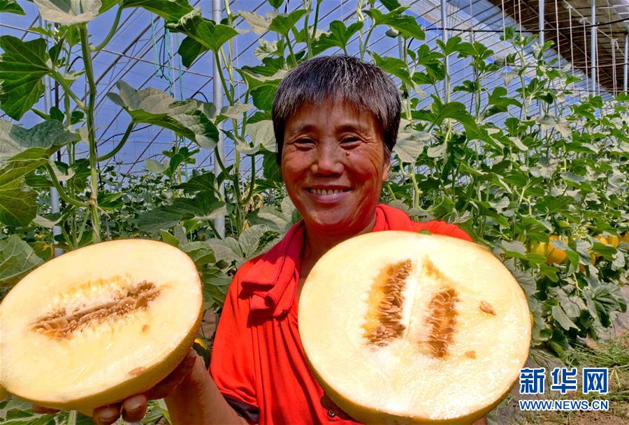 524գӱʡºִũҵԱչʾղժ