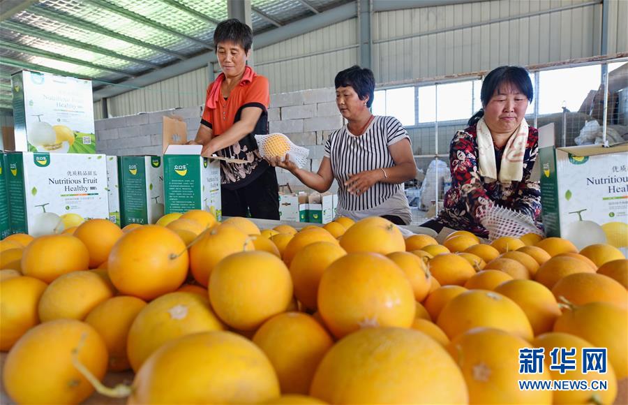 524գӱʡºִũҵԱղժװ