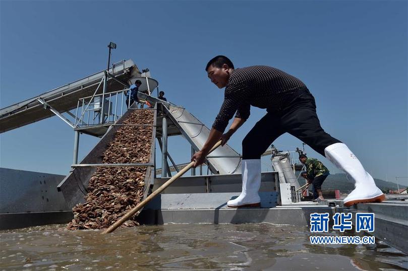 524գڳرҵרҵ磬ȱϴ