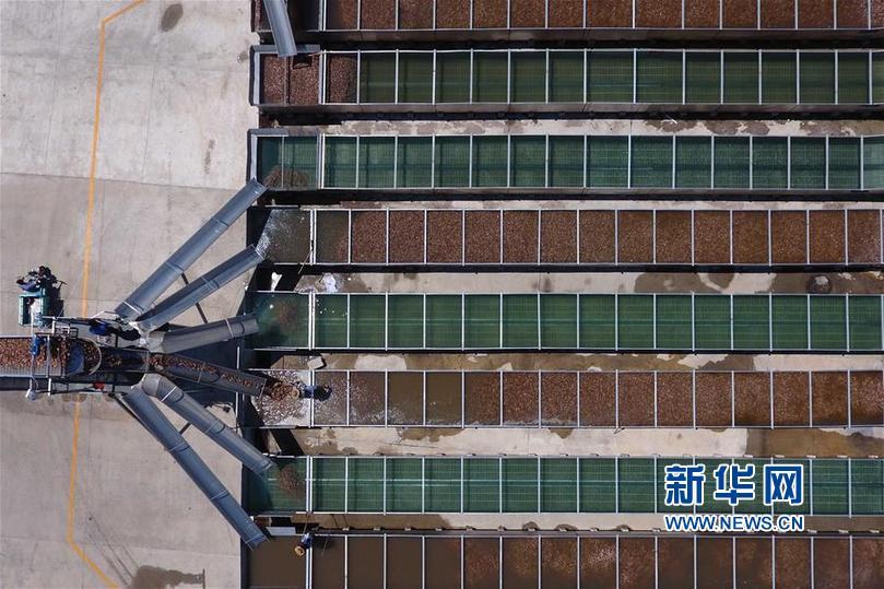 524պĵĳرҵרҵȱӹ