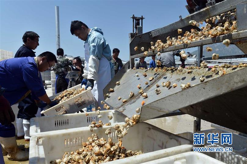 524գڳرҵרҵ磬ȱ