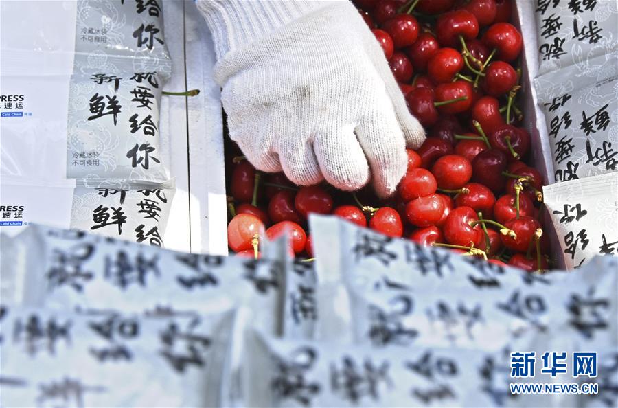 524գɽʡԴһݹ˾Աװ׼Ĵӣ