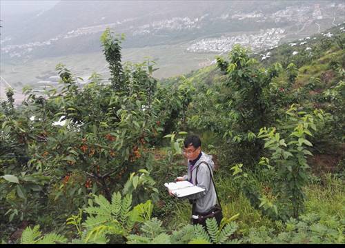 ĴŰũҵϵͳӴӣũг죬ȷɫҵչ