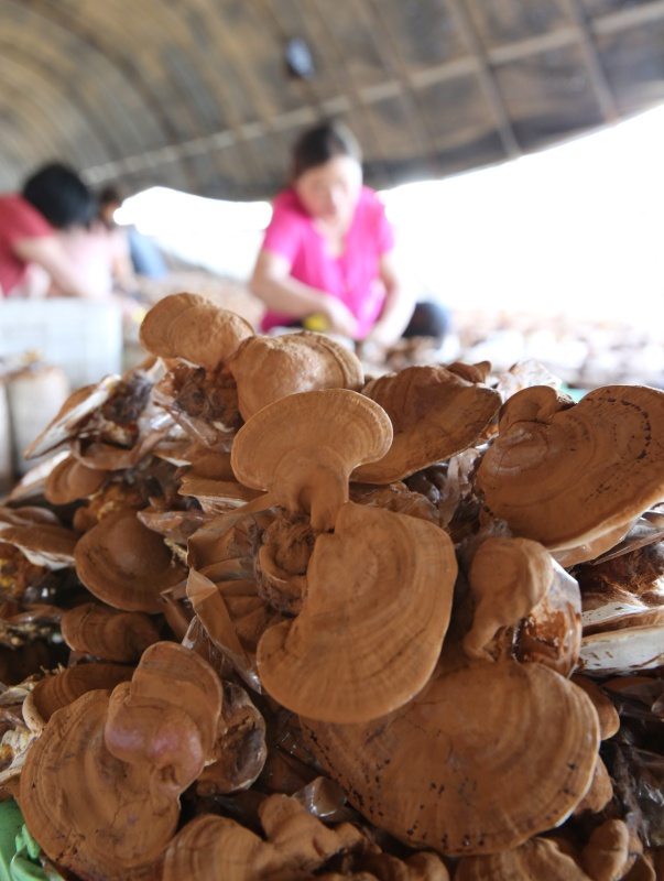 61գũڽʡĪׯҴڼӹ֥