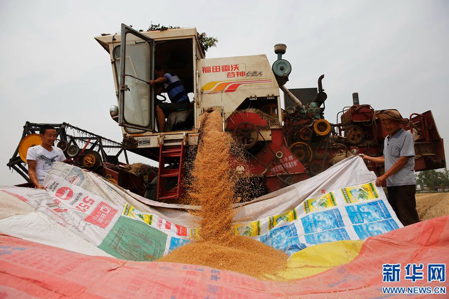 531գʡƽɽбׯôջС