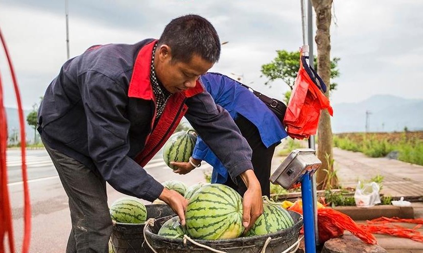 贵州榕江推出“错季西瓜”上市受市场青睐