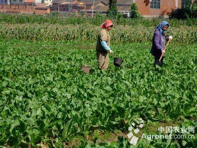 15ꡱ߲˻ ܱ߲԰7.5Ķ