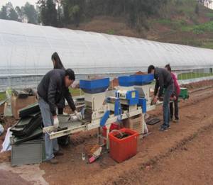 Ĵأǿũҵеѵ ũҵеˮƽ