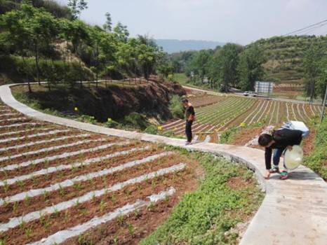 Ĵ˳ִɫũҵʾҵȫƽ