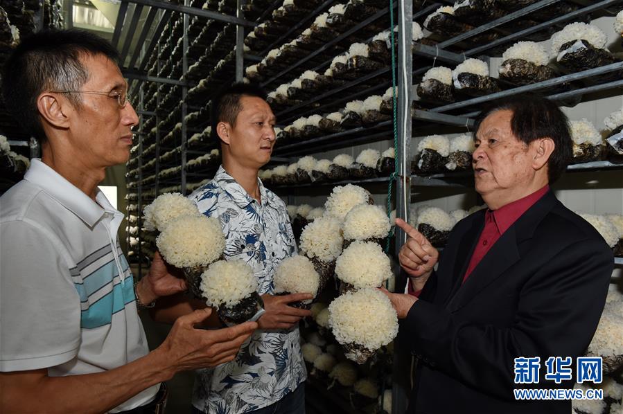 רҦȣһũڱ༼65㣩