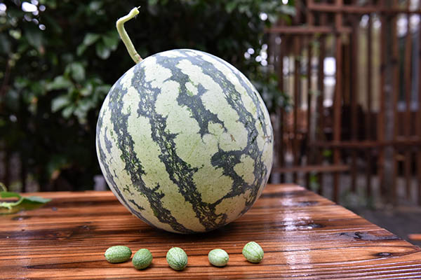 66ڽճ“Ĵָ”ͨϵĶԱͼ