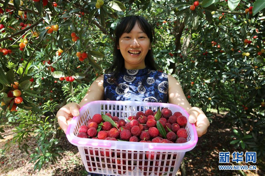 67գںʡҴ÷أһοչʾժ÷