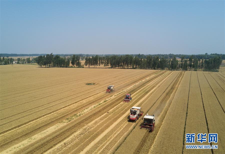 68գǿض߼壬̨Сոһ̨ײֻҵ