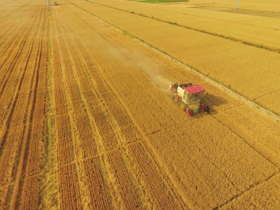 дִũҵ֮ӱʡԡѧһƽũҵũ幤ʵ