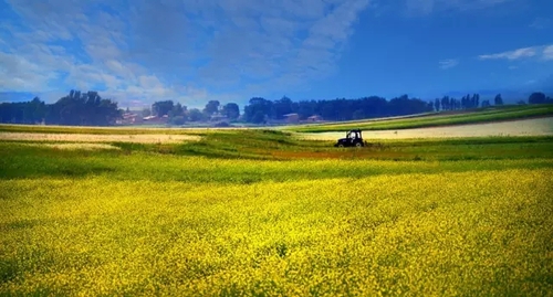 内蒙古达茂旗土地整治促进农牧民增收致富