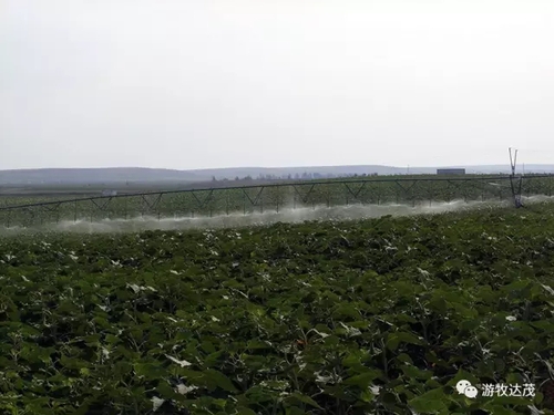 内蒙古达茂旗土地整治促进农牧民增收致富