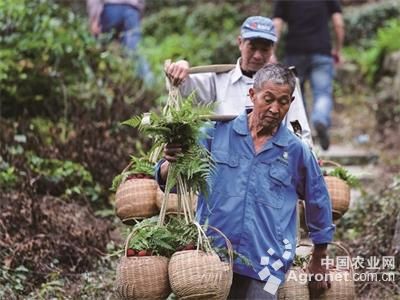 㽭ɽʮŽż÷ڽ¡ؿĻ