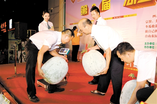 广东江门:台山市四九镇近40公斤重青皮冬瓜喜获冠军