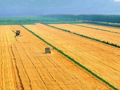 重庆多举措提升种粮积极性