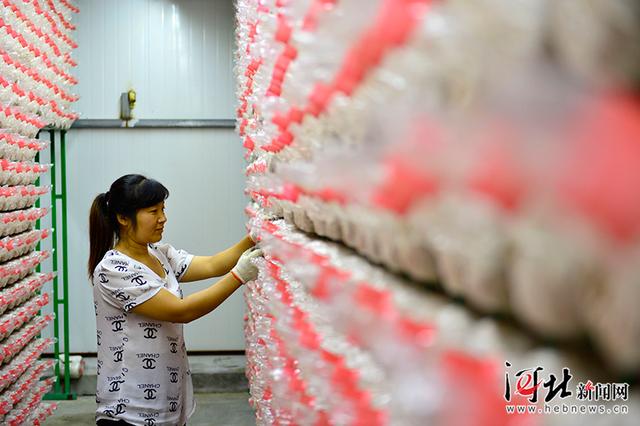 ǰغ԰ũ³ѩΪʳþ͸