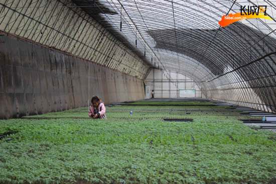 ӱٴũҵת 쾩򡰴԰