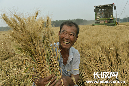 ͷҵ+ƷЧӦ ӱũƷЧ