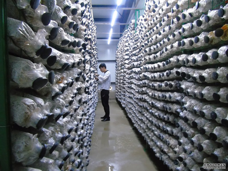 ɹͨɿ죺ִũҵΪũյġ桱