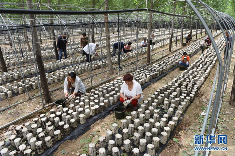 ȭᡰӲͷӱ¹غƶؾ׼ƶ˶